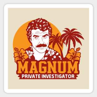 Private Investigator Magnet